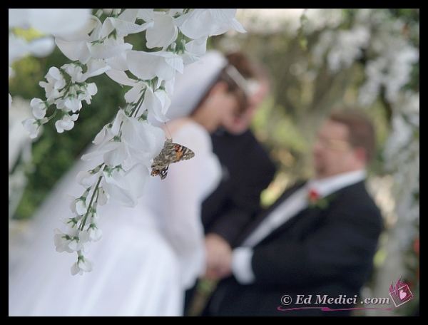 Wedding Photography by The Medici Gallery With A Touch of Romance